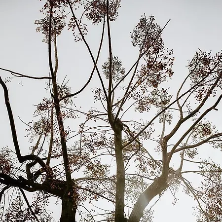 Laguna Formosa * Faro